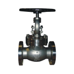 API Globe Valve