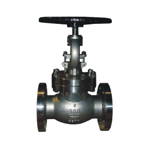 API Globe Valve