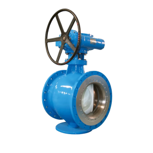 Eccentric Plug Valves