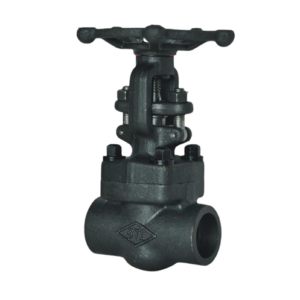 Forged Steel Valves